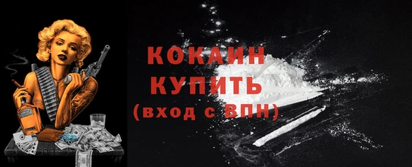 прущий лед Алзамай