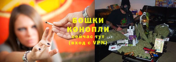 стафф Покачи