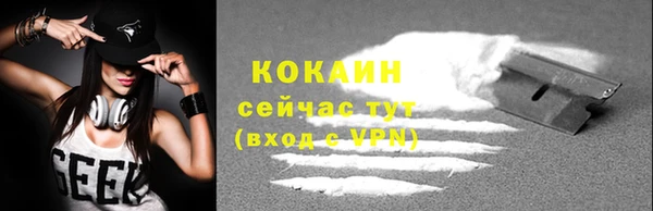 крисы Алексин