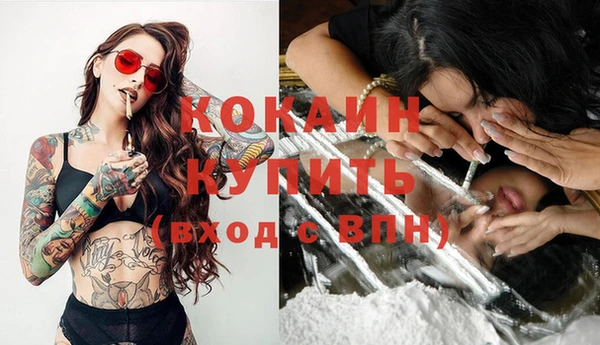 прущий лед Алзамай